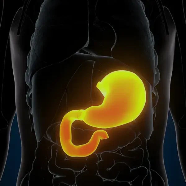 Exploring the Importance of Medical Gastroenterology