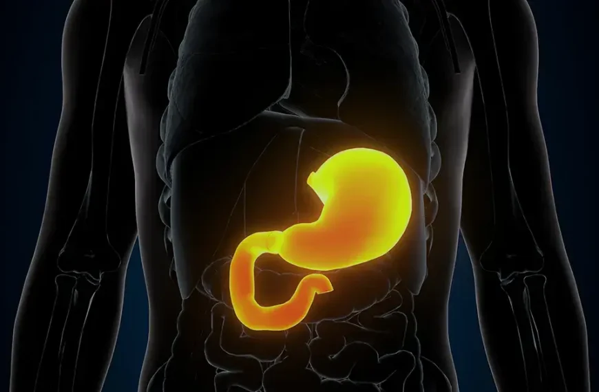 Exploring the Importance of Medical Gastroenterology