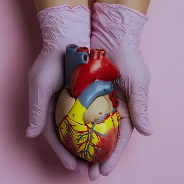 Heart Transplantation Explained