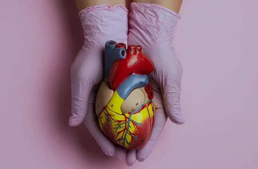 Heart Transplantation Explained