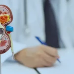 The Role of Nephrology in Caring for Your Kidneys